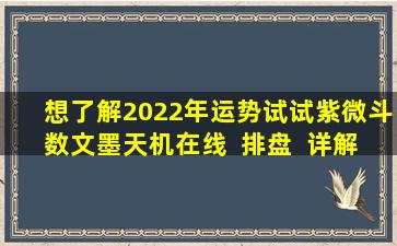 想了解2022年运势试试紫微斗数文墨天机在线  排盘  详解！